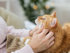 Koci pomocnicy onkologów. Mapa genetyczna ważnym odkryciem w medycynie