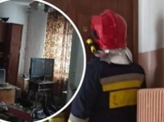 Wrocławianka zrobiła z mieszkania gołębnik. Ptaki załatwiały się na meble i telewizor