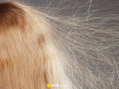 Trycholożka: te błędy w pielęgnacji elektryzują twoje włosy. Nam zdradza triki ratunkowe