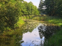 906 tys. ha gruntów rolnych do wyłączenia, 200 tys. do przekształcenia. Nowa strategia uderza w rolników