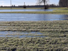 Dramatyczna sytuacja rolników z regionu. Woda zalała pola i opóźnia prace