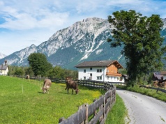 23 proc. ekogospodarstw w Austrii. Popyt rośnie, ale jest bariera w rozwoju