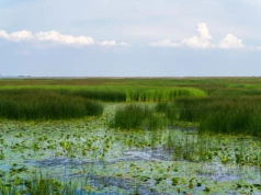 Rolnicy kontra ministerstwo, czyli walka o tysiące hektarów gruntów