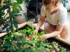 Od lat uprawiam warzywa w ten sposób. Mam więcej plonów od innych