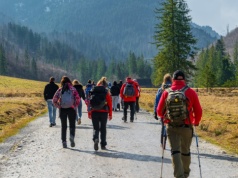 Chcą zbudować biogazownię przy szlaku turystycznym. Górale głośno protestują