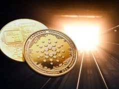 Cena Cardano spadła o 80%, ale wieloryby kupują jak szalone. Rynek za wcześnie pogrzebał ADA?