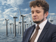 Naukowcy twierdzą, że morskie farmy wiatrowe niszczą środowisko wodne