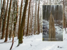 Leśnicy pokazali niezwykłe nagranie. "Jakby był z innej planety"