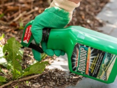 Pozwy o Roundup kosztują miliardy. Chemiczny gigant idzie na ugodę