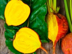 Zwykłe buraki to już przeżytek. To warzywo wspiera serce i świetnie smakuje