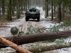 Żołnierze, leśnicy i strażacy na wspólnym szkoleniu z wykonywania zapór inżynieryjnych