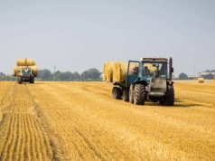 Jak ukraińscy rolnicy obniżają koszty w gospodarstwach rolnych?