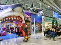 Wysokie kary dla turystów. Posiadanie tego owocu w bagażu jest zabronione