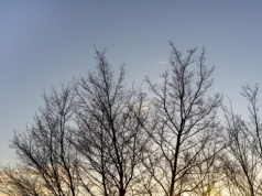 Ciepły czwartek w Łódzkiem. Pogoda na 26 lutego