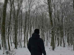 „Drzewa-sprinterzy” zagrażają lasom na całym świecie. Ostrzeżenie ekspertów