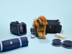 Renault kocha psy i koty. Nowa kolekcja The Originals powstała właśnie dla nich