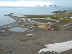 49. urodziny Polskiej Stacji Antarktycznej – na placu budowy, z domykaniem bryły nowej siedziby