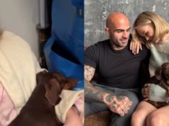 Eksnarzeczona Akopa Szostaka relacjonuje WYPROWADZKĘ z mieszkania i przeżywa rozłąkę z pupilami: "To będzie najcięższe rozstanie"