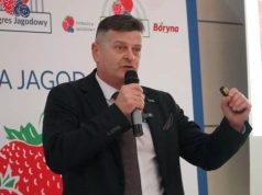 Truskawka 2026 pod lupą: pogoda, rynek i pułapki – plan na wiosnę