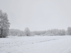 Woda na polach, ale nie w glebie. Groźny scenariusz dla upraw