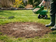 Rozsyp w marcu na trawniku. Mech i łyse placki znikną na cały sezon