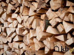 Drewno, pellet czy gaz? To porównanie może zmienić twoje rachunki