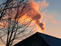 Czyste Powietrze, a jakie intencje? Bezkarne urzędy rujnują najuboższych