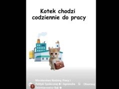 Resort pracy wytłumaczył problem na... kotkach. "Za nasze pieniądze"