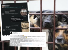 Ktoś wystawił na Vinted karmę, która miała być darowizną dla schronisk, producent zwraca uwagę, że to trochę żenada