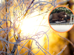 W dzień dodatnia temperatura, ale w nocy wciąż mróz. Apel o reakcję na osoby zagrożone wychłodzeniem