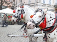 Ministerstwo odmawia wpisu krakowskich dorożek na listę UNESCO