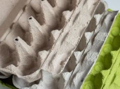 Gdzie wyrzucać opakowanie po jajkach? Błąd jest nagminny