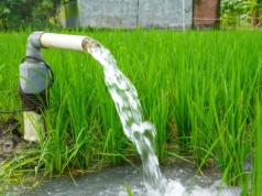 Woda ze studni. Limity i stawki za pobór wody z własnych ujęć w gospodarstwach rolnych