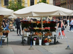 Apel o krakowskie kwiaciarki? Czy Prezydent Krakowa dokona kolejnej korekty