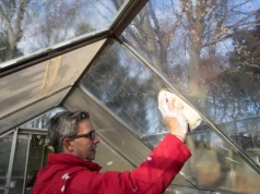 Nie sadź jeszcze pomidorów. Najpierw umyj szklarnię – jeden błąd kosztuje plony