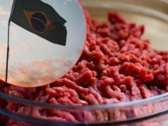 Skażona wołowina z Brazylii w UE. Jest raport Komisji Europejskiej