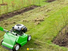 Trawnik po zimie wymaga uwagi. Kluczowe wiosenne zabiegi