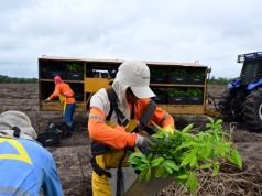 Droga do Mercosur otwarta. Pierwsza ratyfikacja umowy, zaraz po niej następna