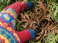 Brązowieje od środka? Zamiast ratować w nieskończoność, rozważ coś innego