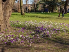 Czy czeka nas ciepły i słoneczny weekend?  Warto skorzystać z pięknej pogody!