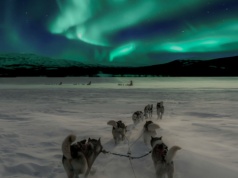 "Czarne zorze" nad Alaską. Czym są i skąd pochodzą?