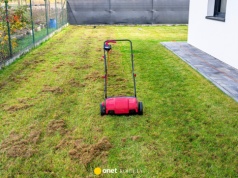 Pleśń śniegowa i mech niszczą trawniki. Proste sposoby na zdrową murawę