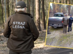 Akcja "Wieniec" w polskich lasach. Mogą posypać się mandaty. Pomoże policja