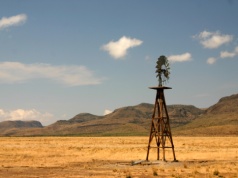 Teksas odwołuje zimę. Termometry w stanie już dobiły do 100 st. F