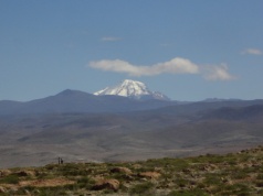 Inkowie składali dzieci w ofierze. Współczesna technologia ujawnia mrożące krew w żyłach szczegóły