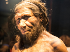 Badania sugerują, że samce neandertalczyków częściej łączą się z ludzkimi samicami