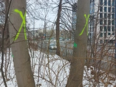 Dzień dobry Katowice. Duża wycinka drzew z powodu budowy drogi rowerowej