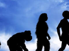 Naukowcy przesuwają granice historii. Te ślady mają 1,9 mln lat