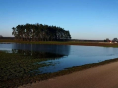 Woda stoi na polach. Czy oziminy to przetrwają? Jakie zabiegi wykonać?