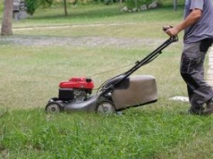 Pierwsze koszenie trawy po zimie. Lepiej nie popełniaj błędu